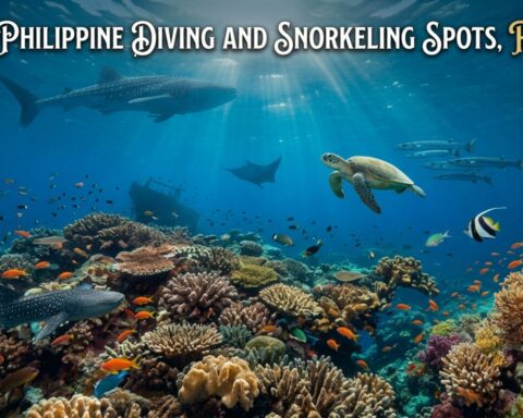 article banner of the best diving and snorkeling spots in the Philippines